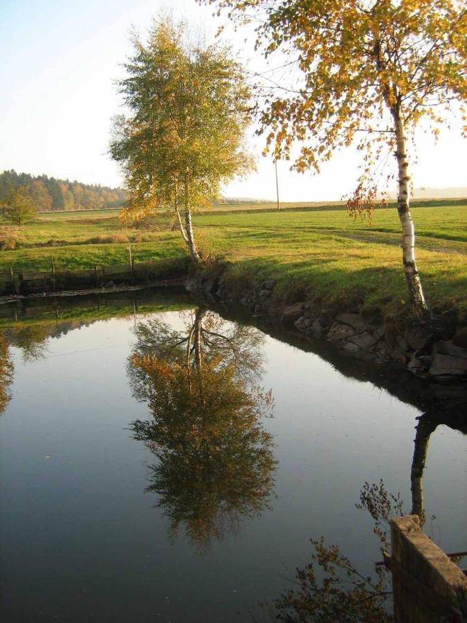 Ferienwohnung Leicht Annaberg-Buchholz Bagian luar foto